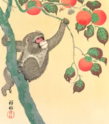Monkey in a Persimmon Tree, 1935 (træblok farvetryk)